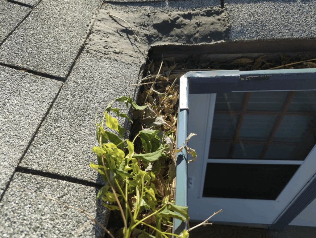 clogged gutters