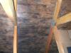 Mold in attic